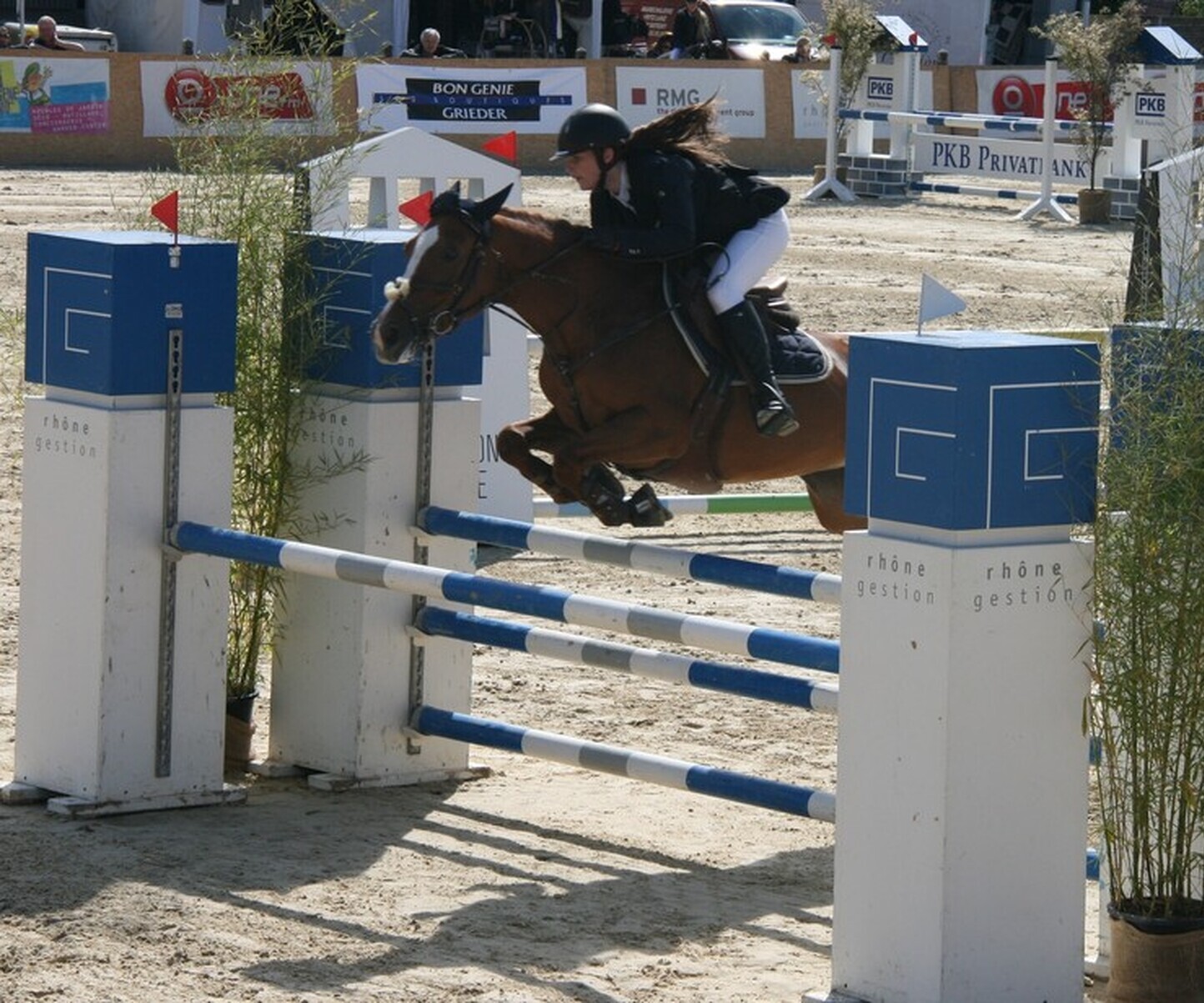 Description de l'image