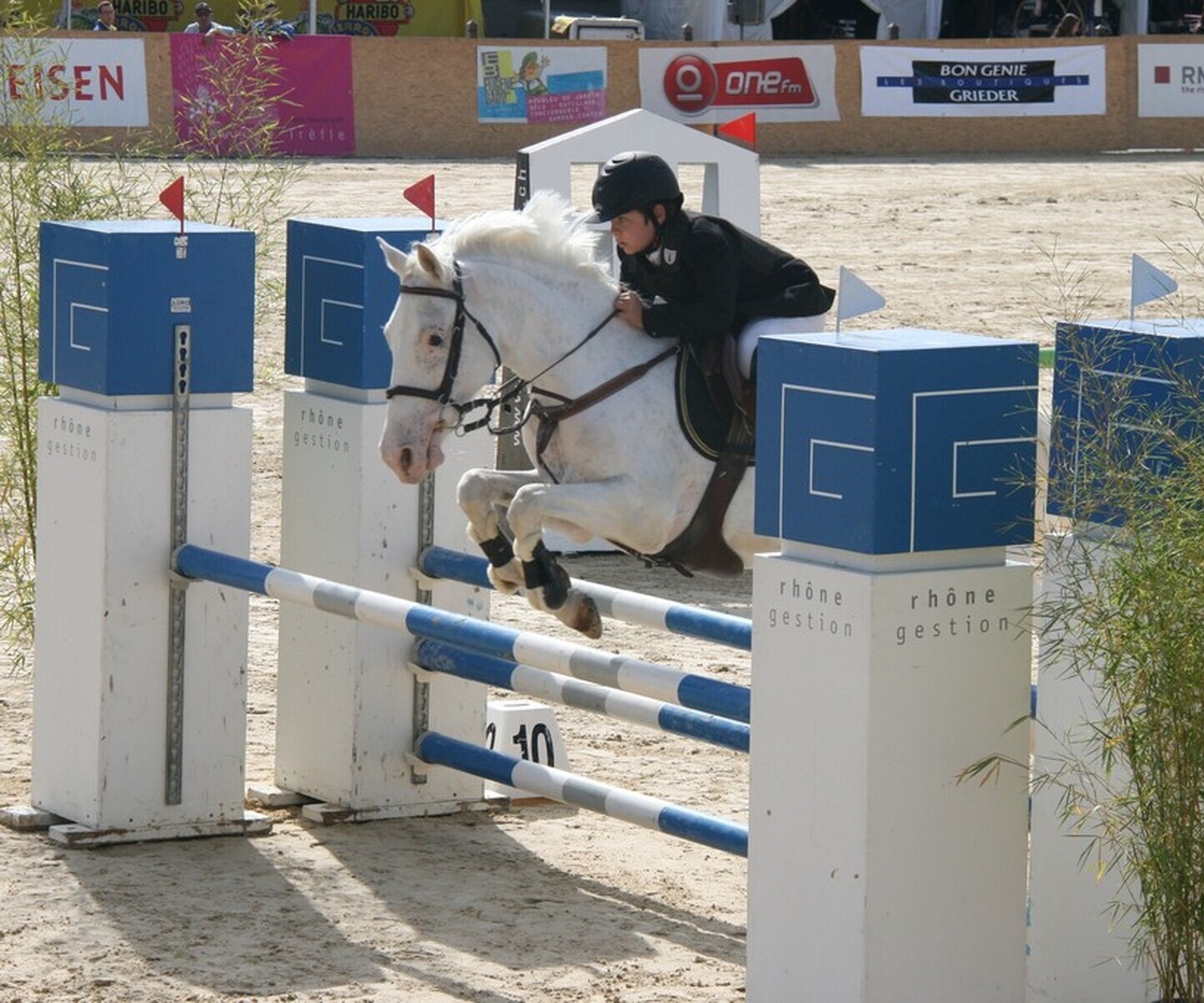 Description de l'image