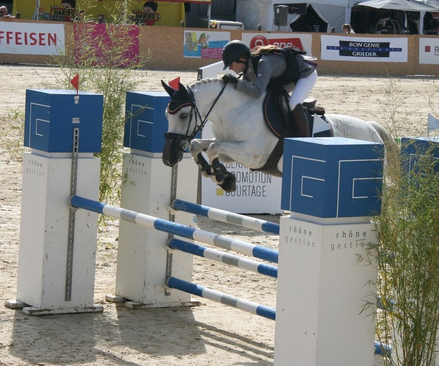 Description de l'image