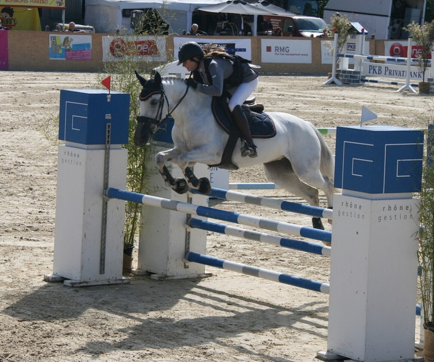 Description de l'image