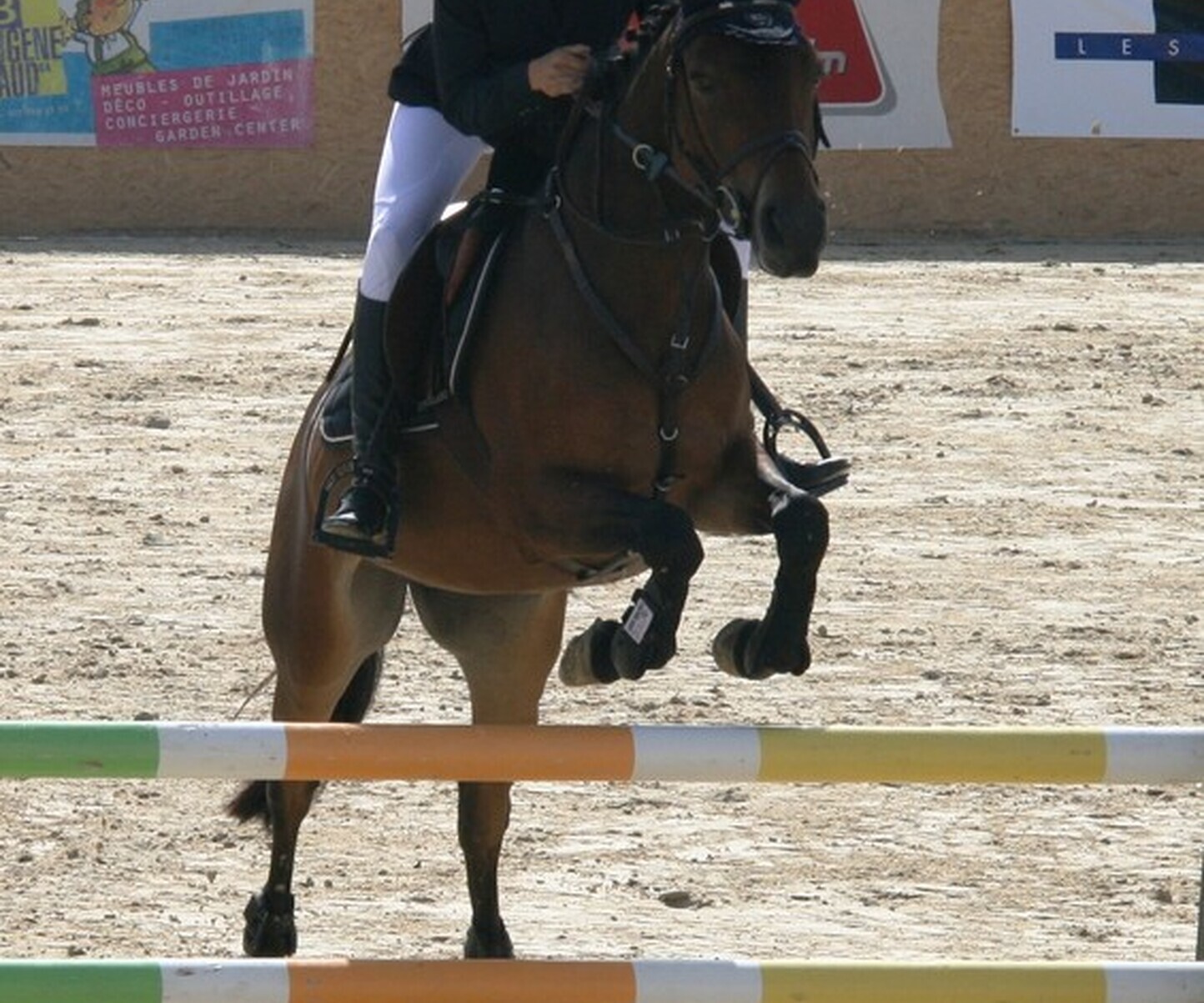 Description de l'image