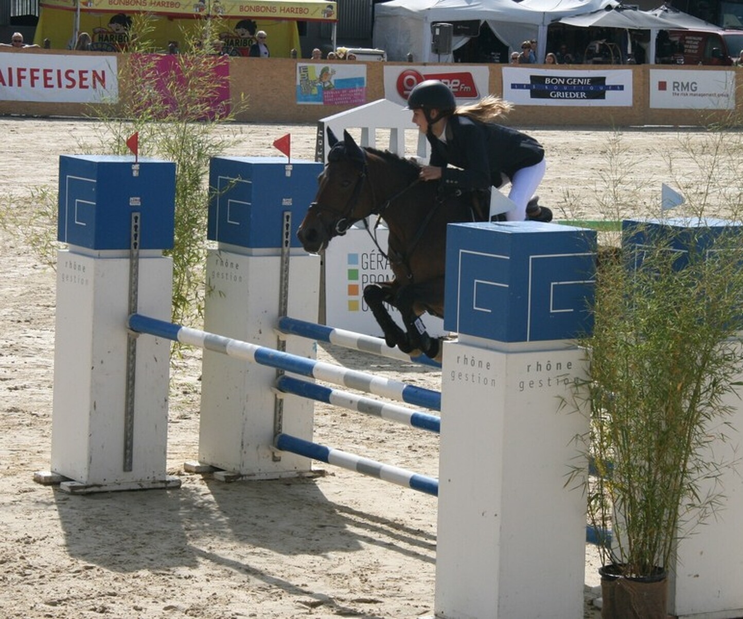 Description de l'image