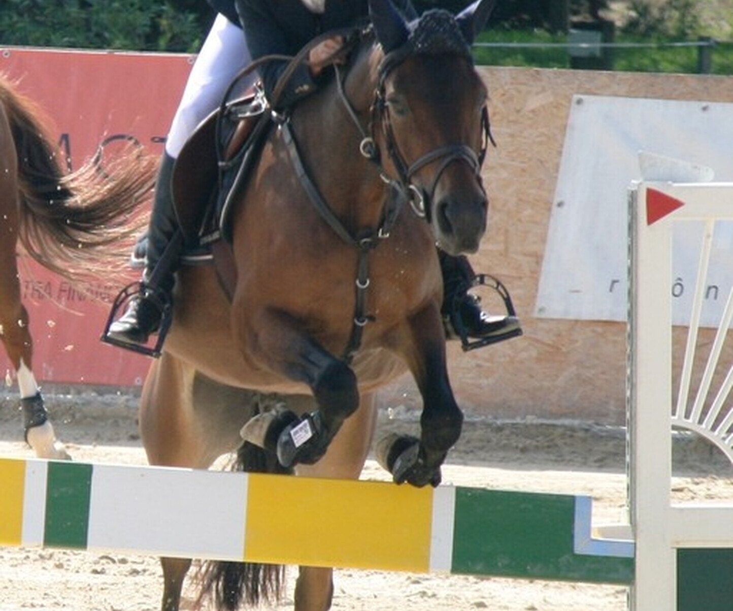 Description de l'image