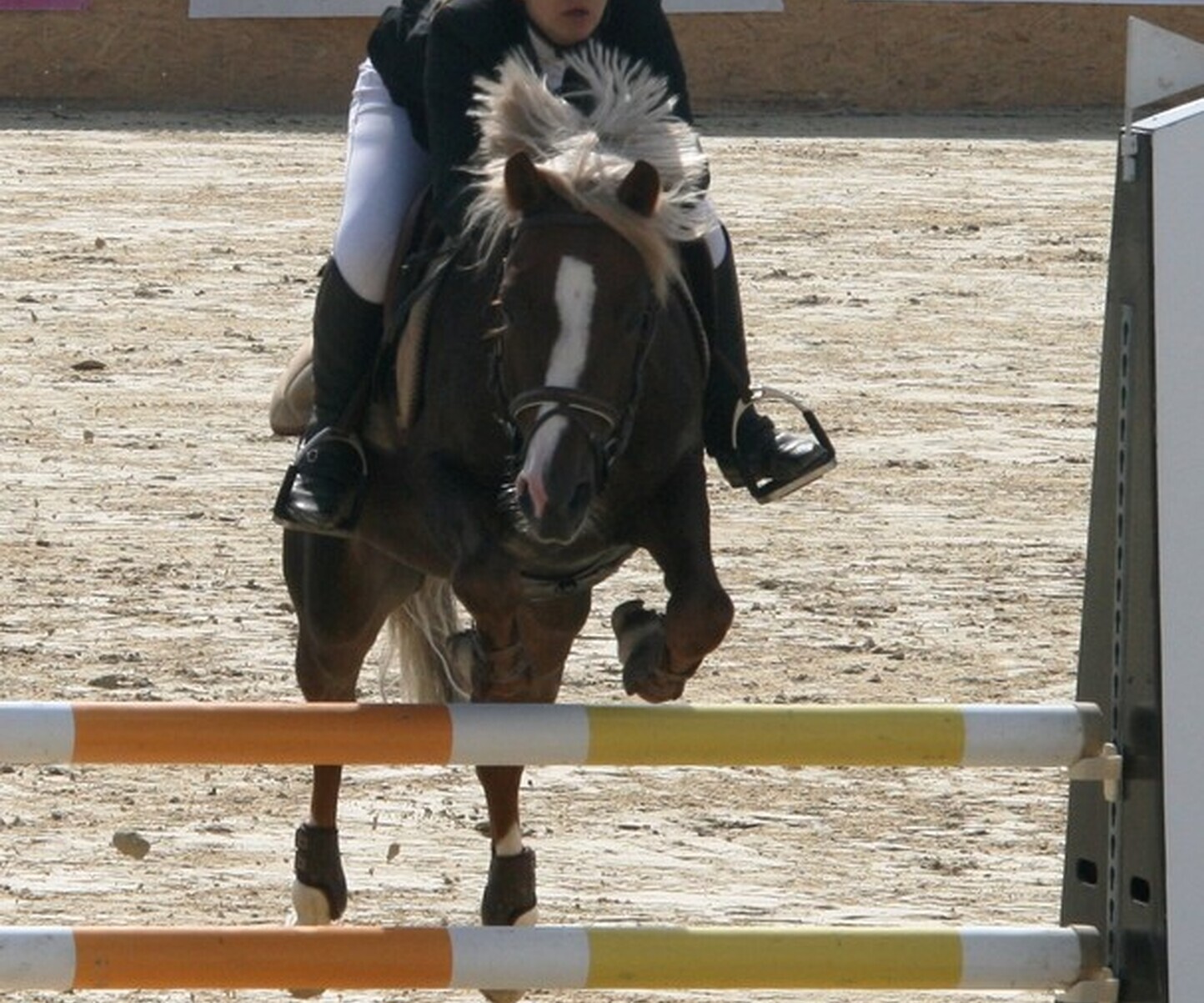 Description de l'image