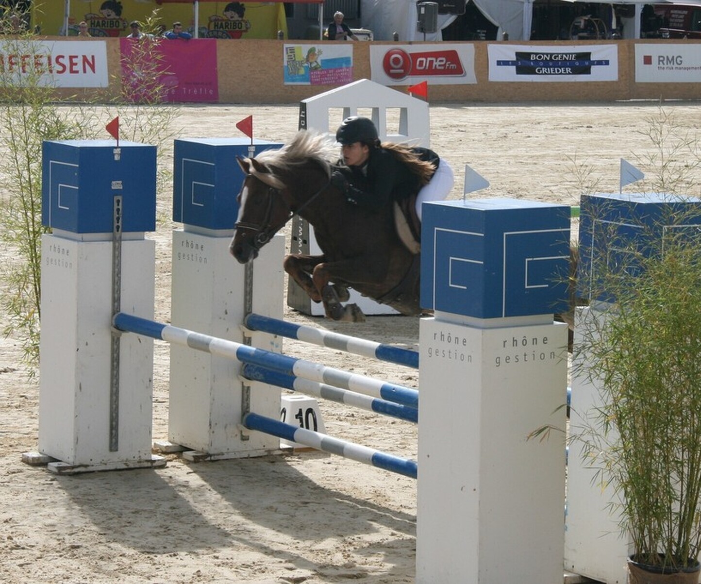 Description de l'image