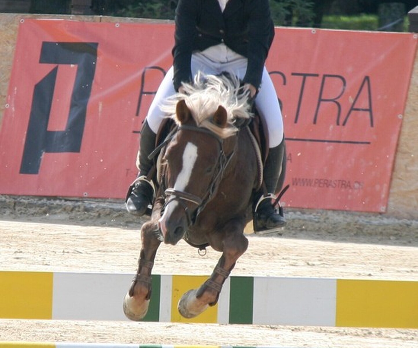 Description de l'image