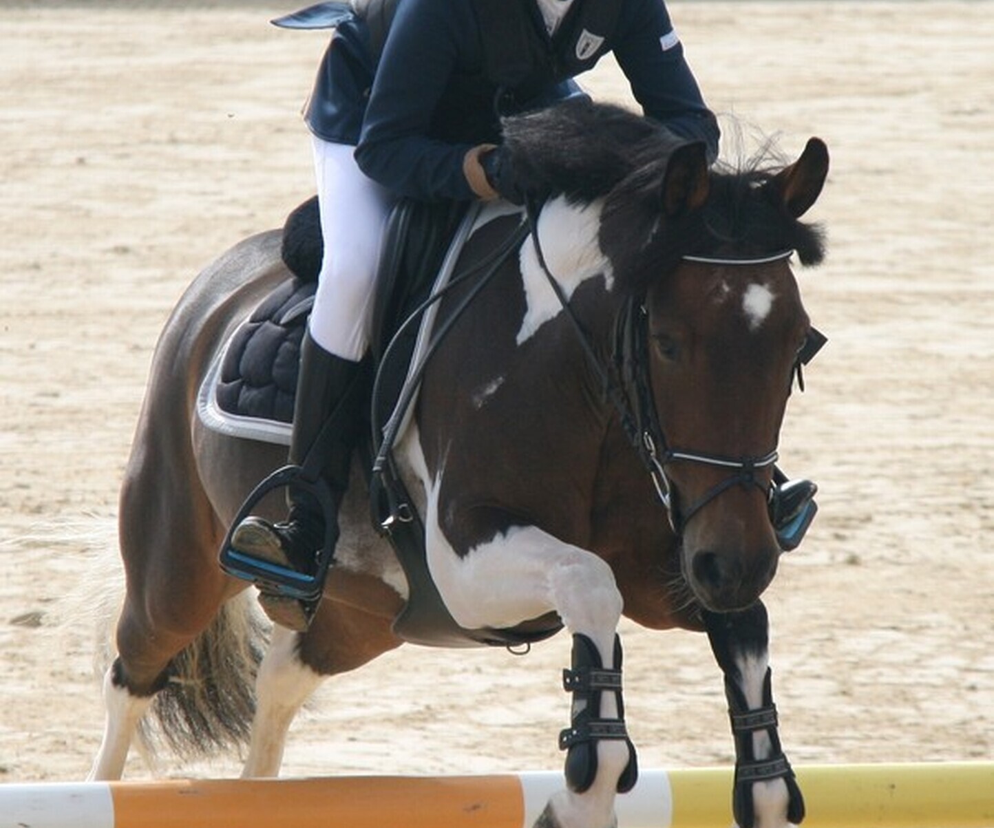 Description de l'image