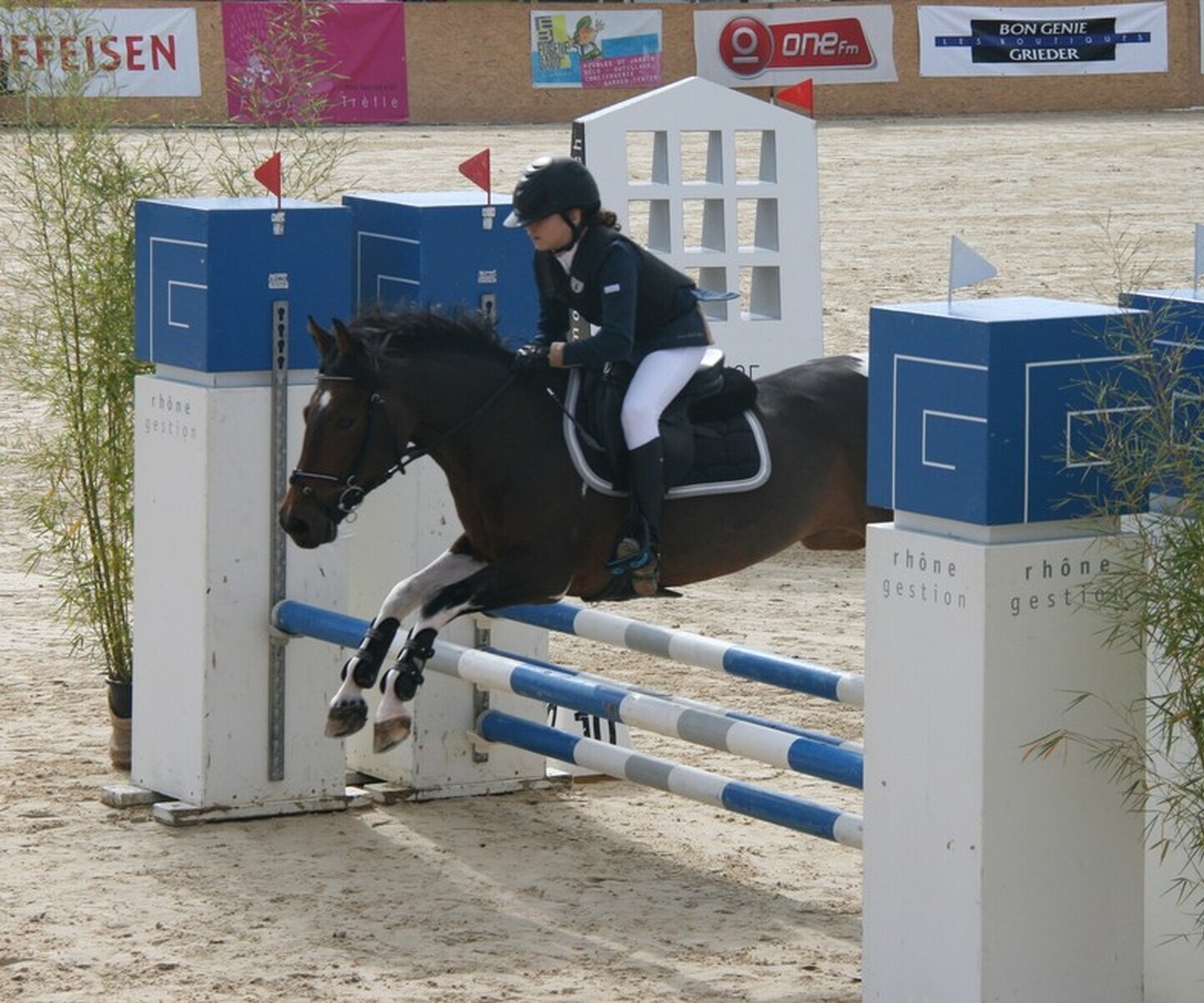 Description de l'image