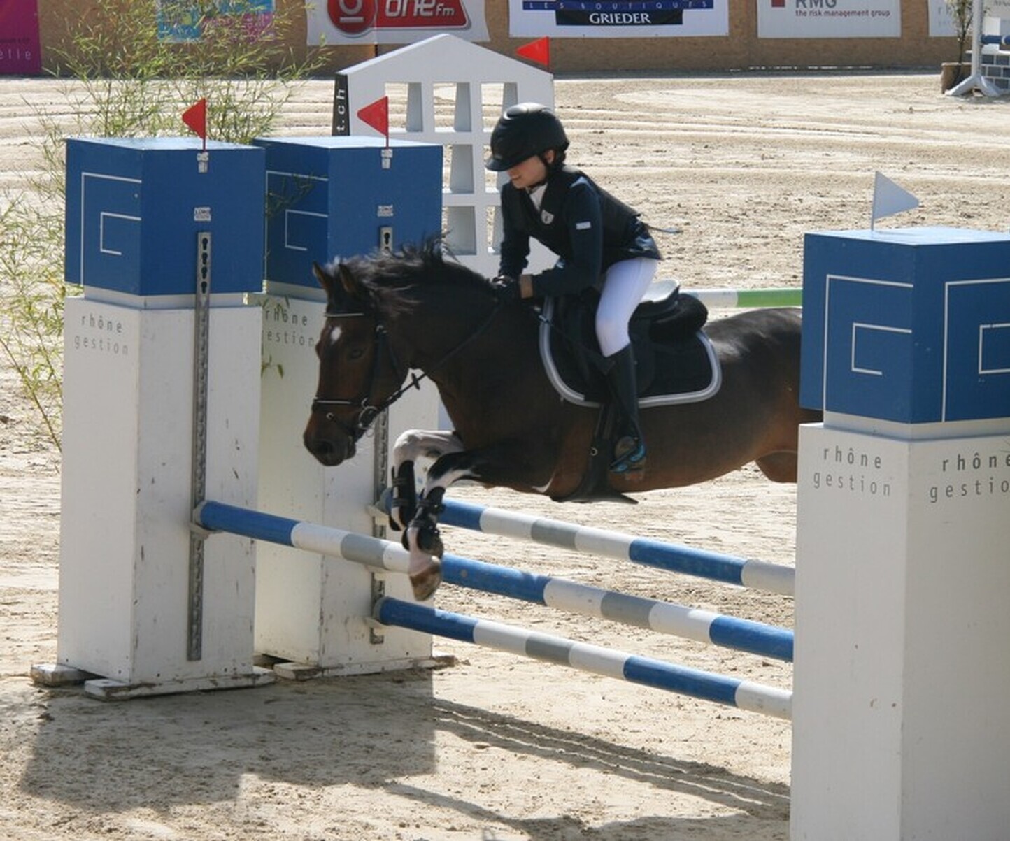 Description de l'image