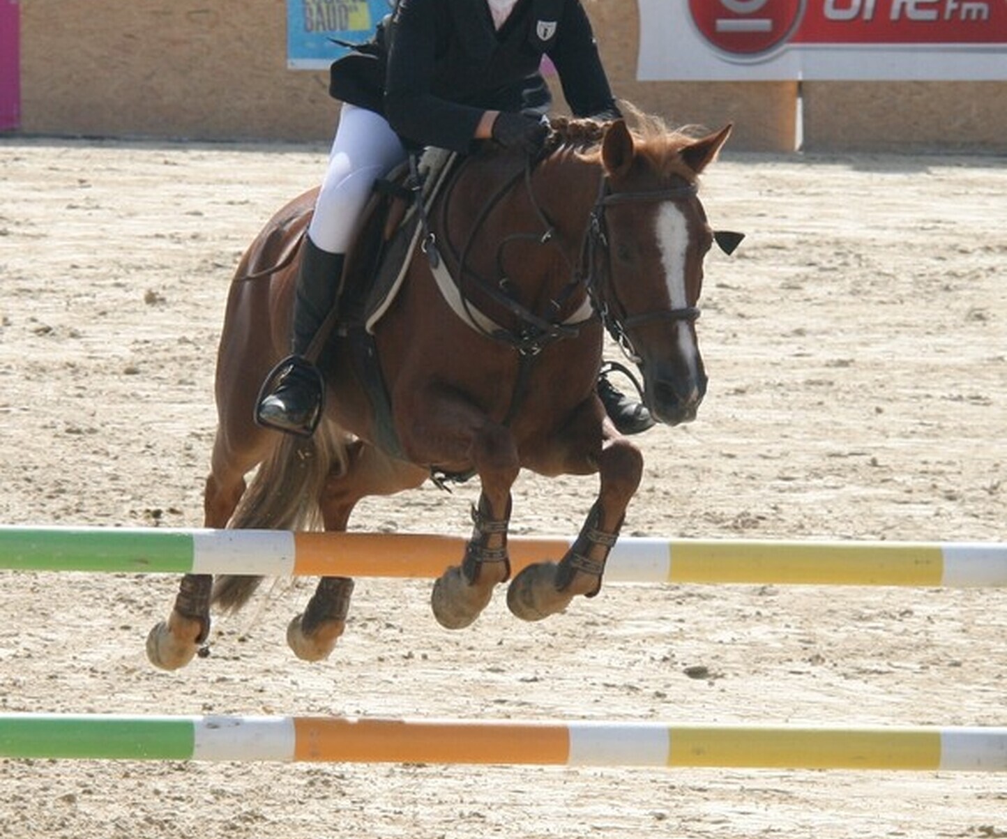 Description de l'image