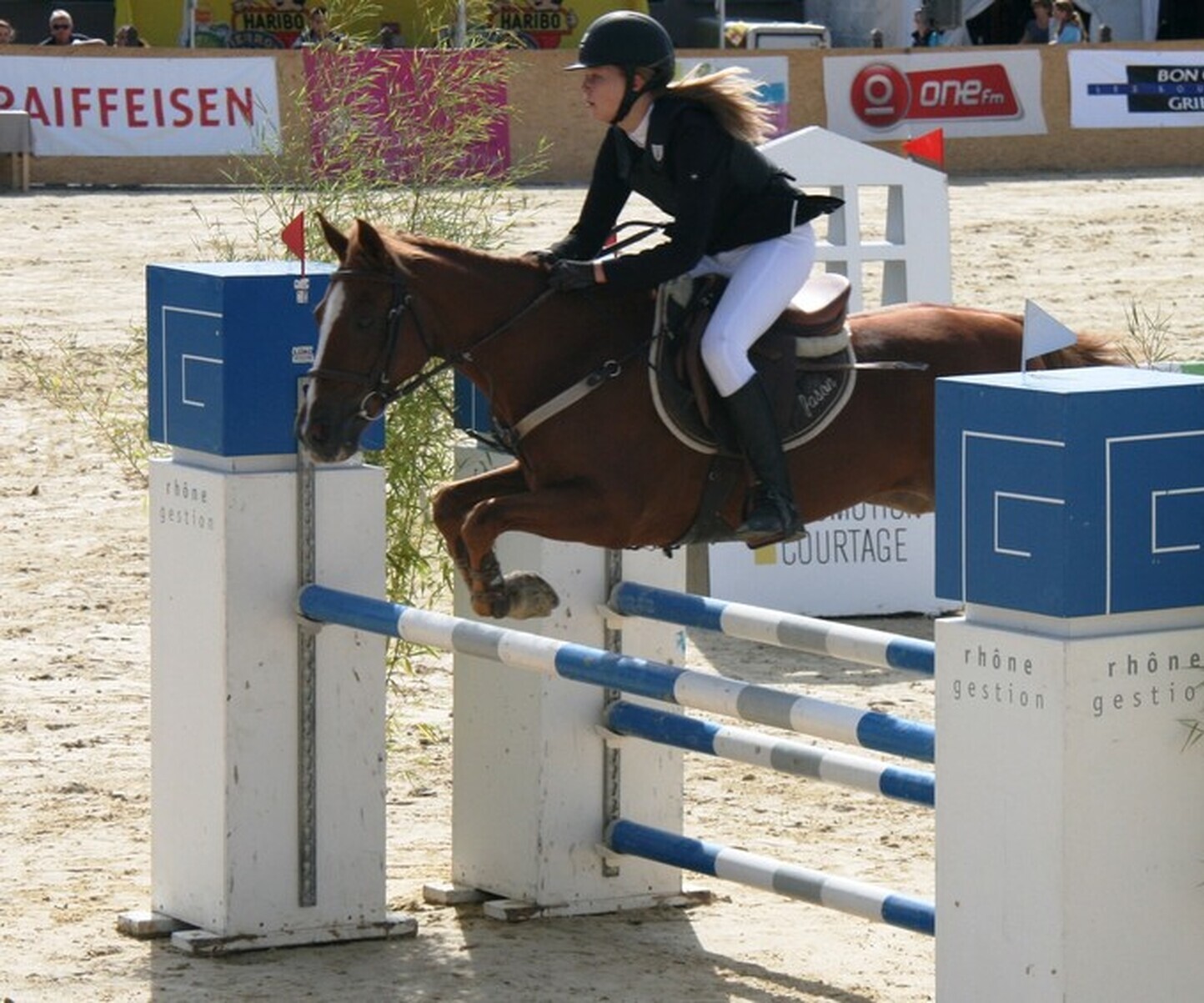 Description de l'image