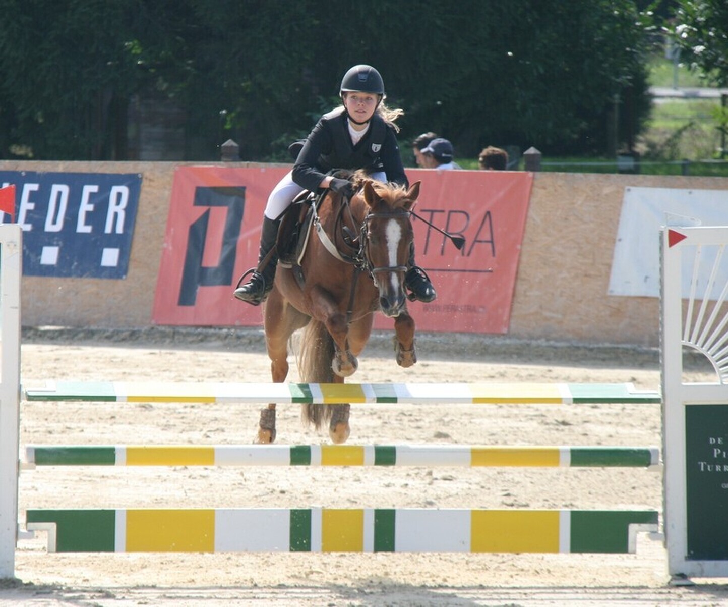 Description de l'image