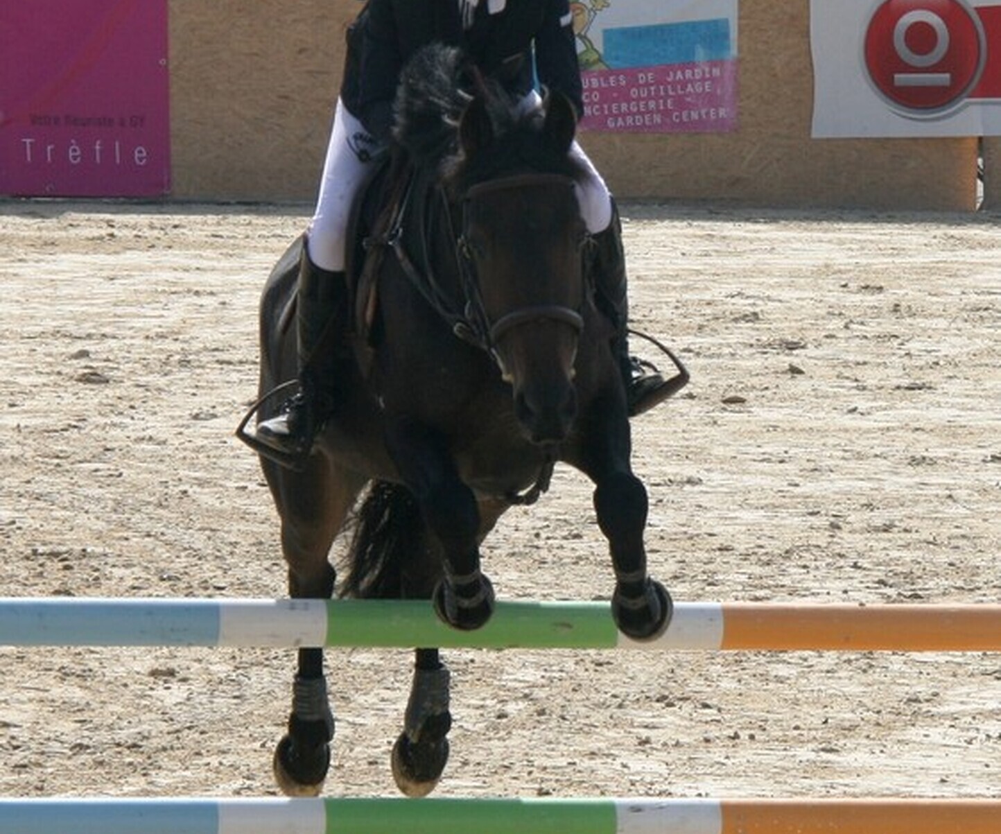 Description de l'image