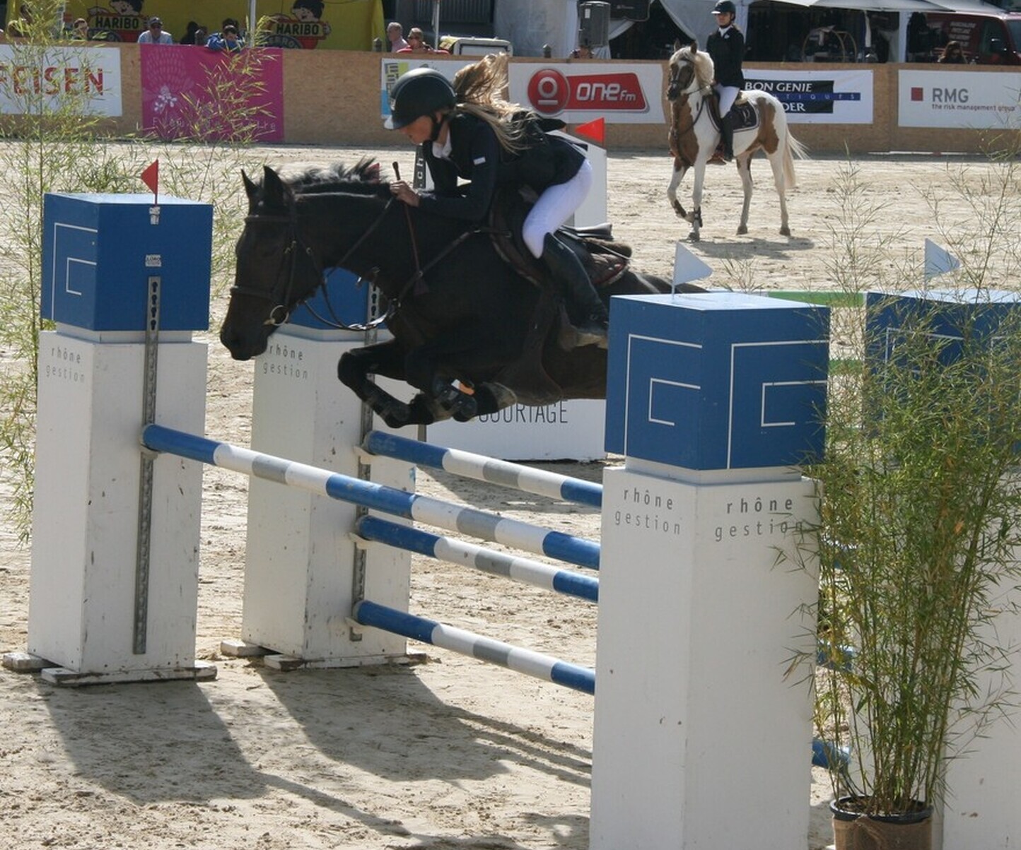 Description de l'image