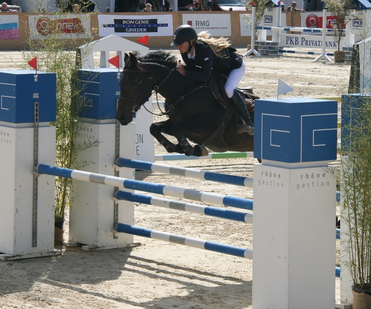 Description de l'image