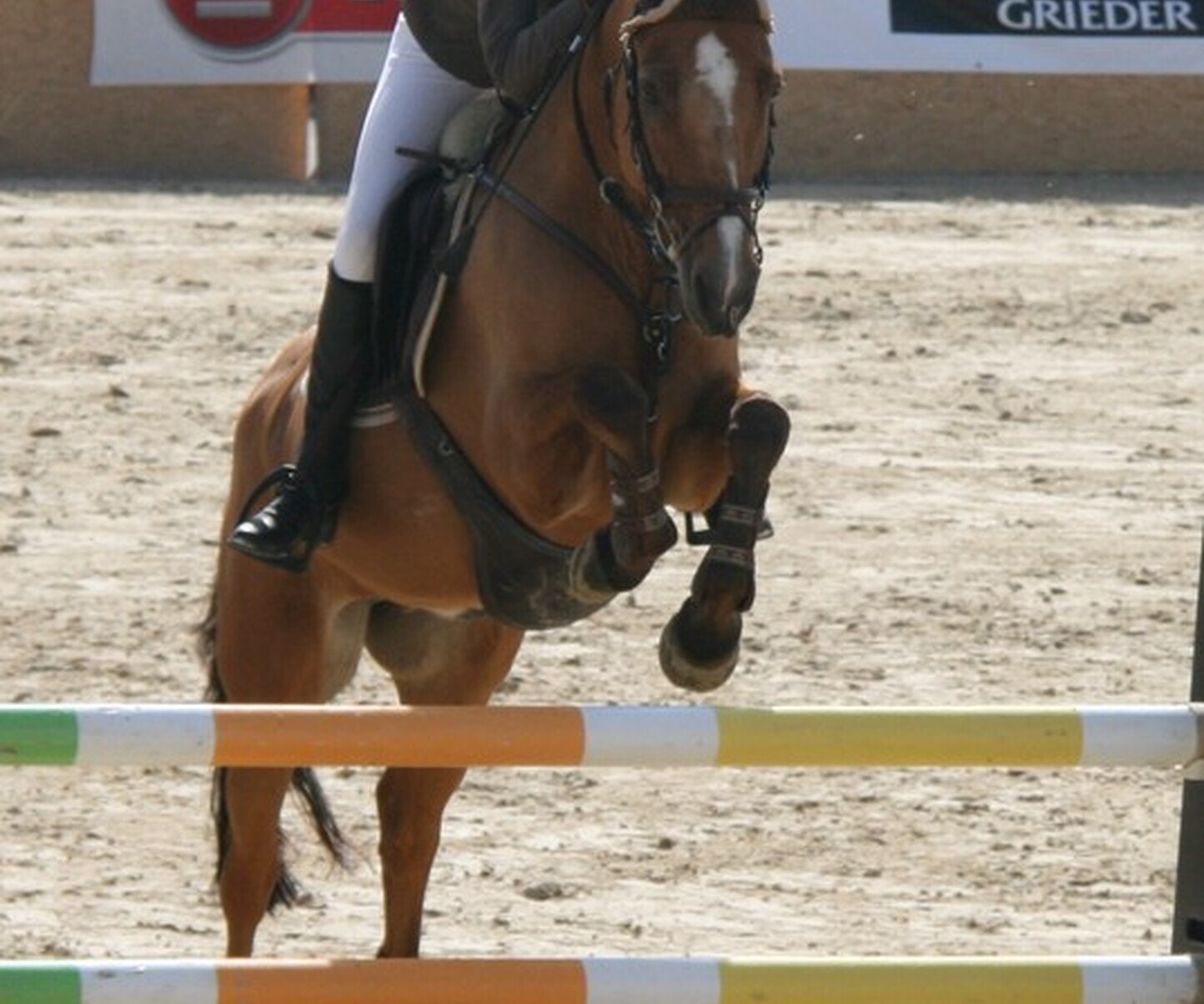 Description de l'image