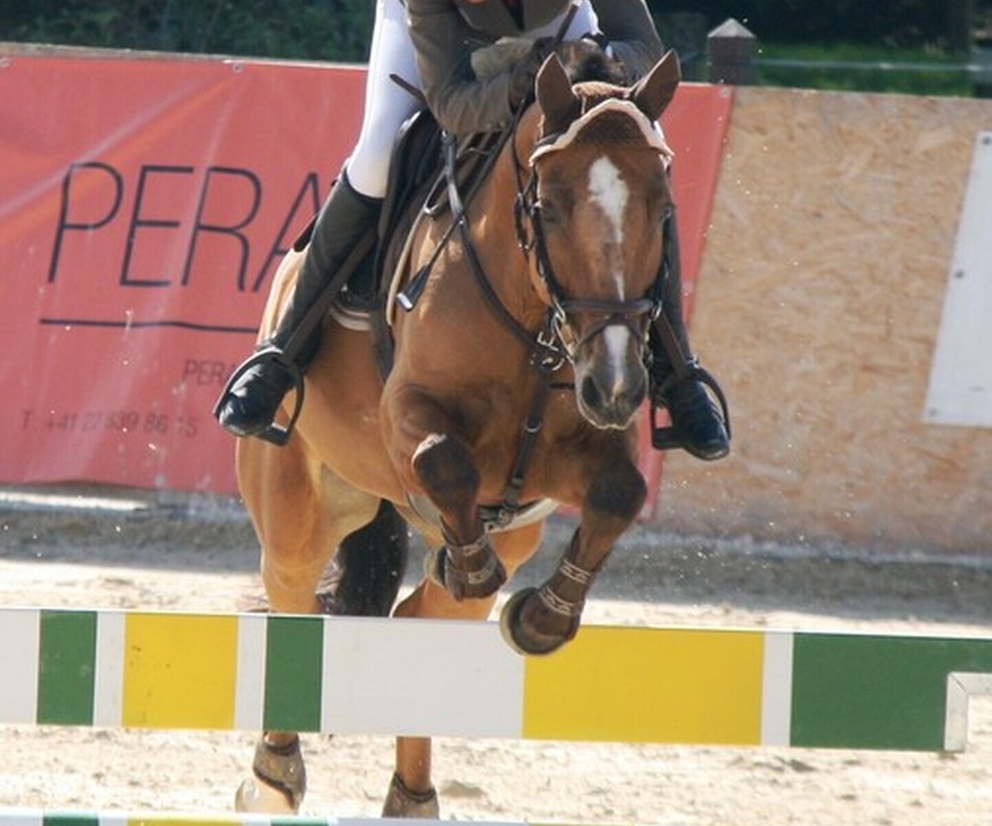 Description de l'image