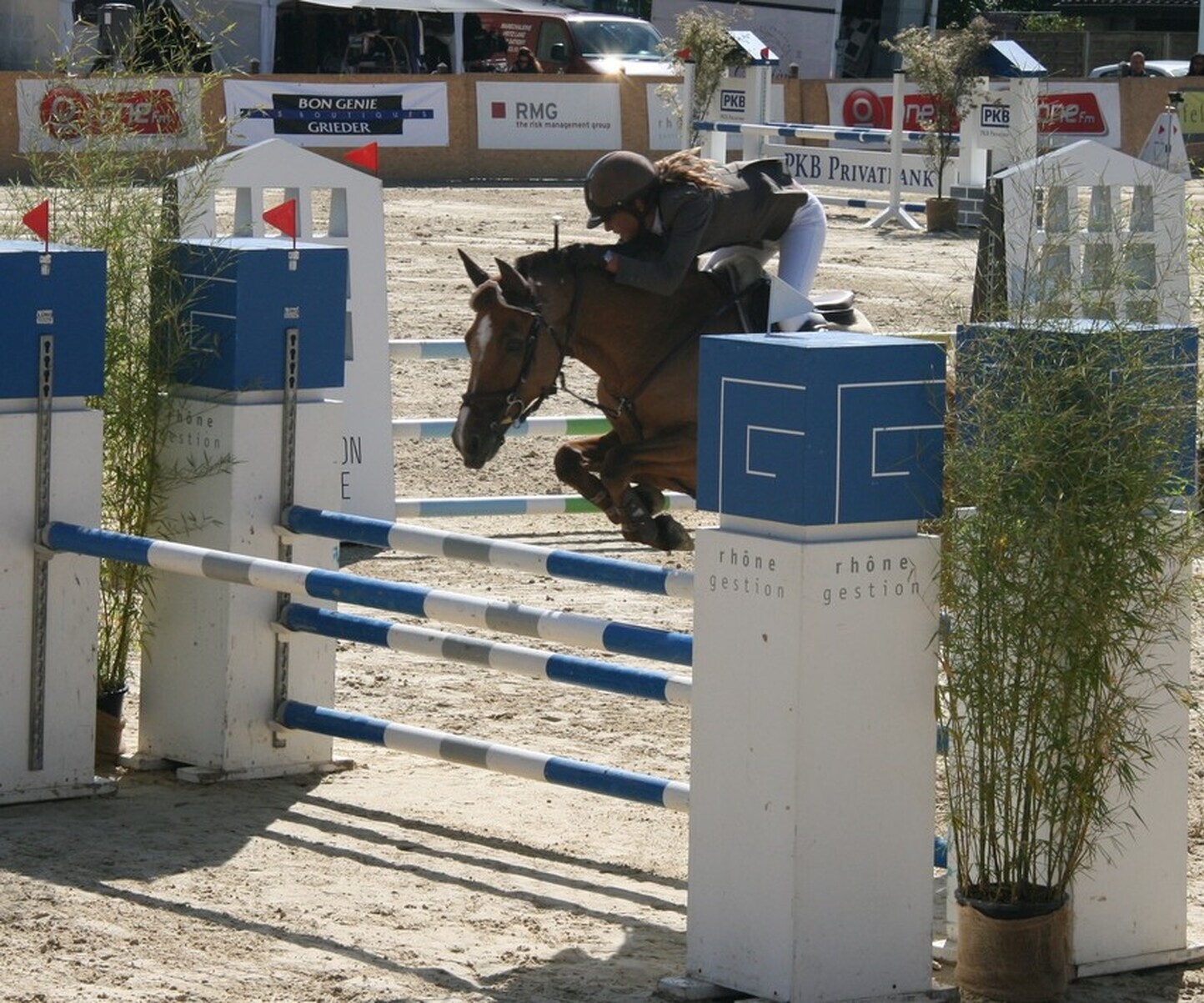 Description de l'image