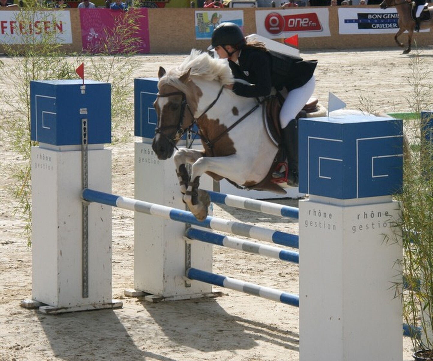 Description de l'image