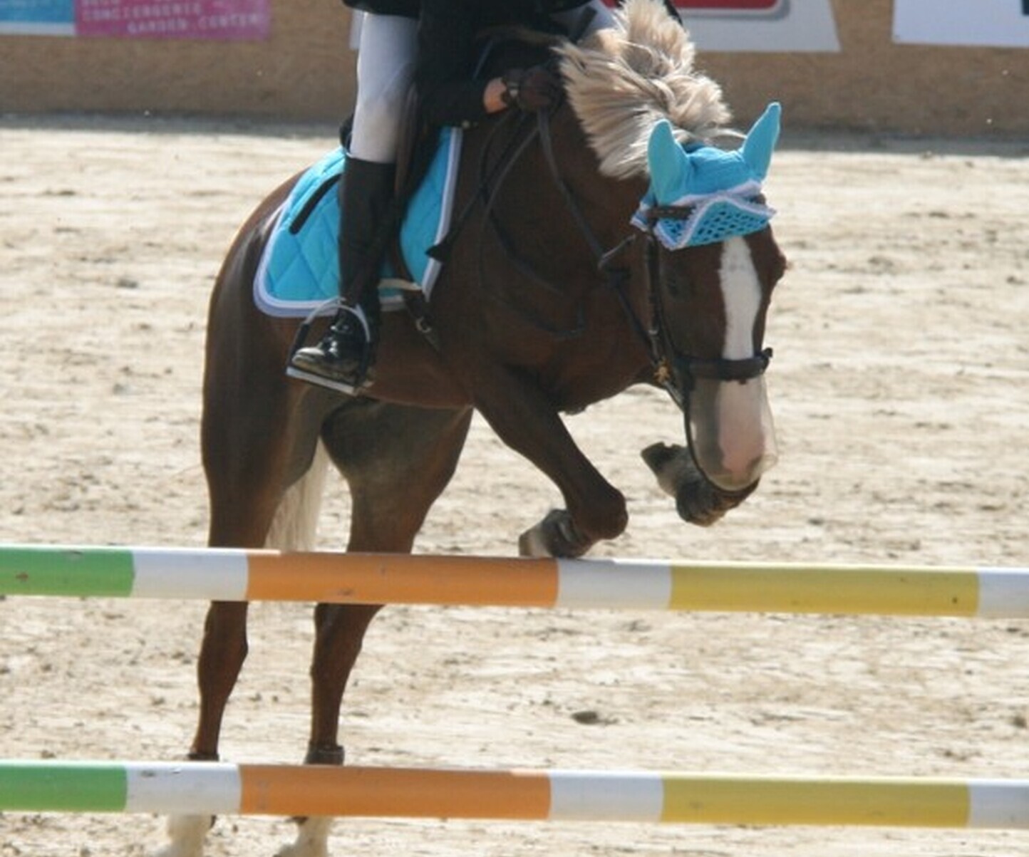 Description de l'image