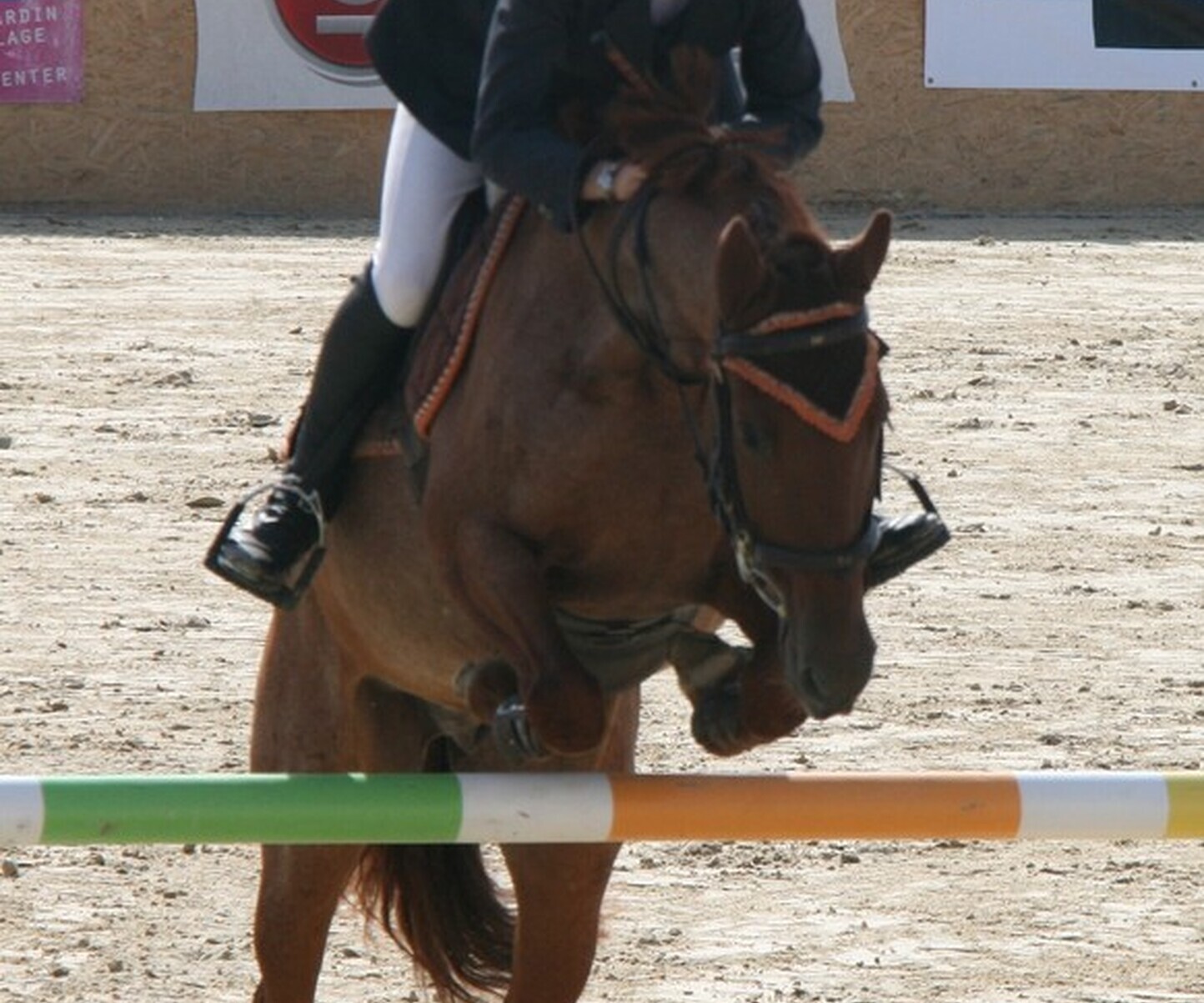 Description de l'image