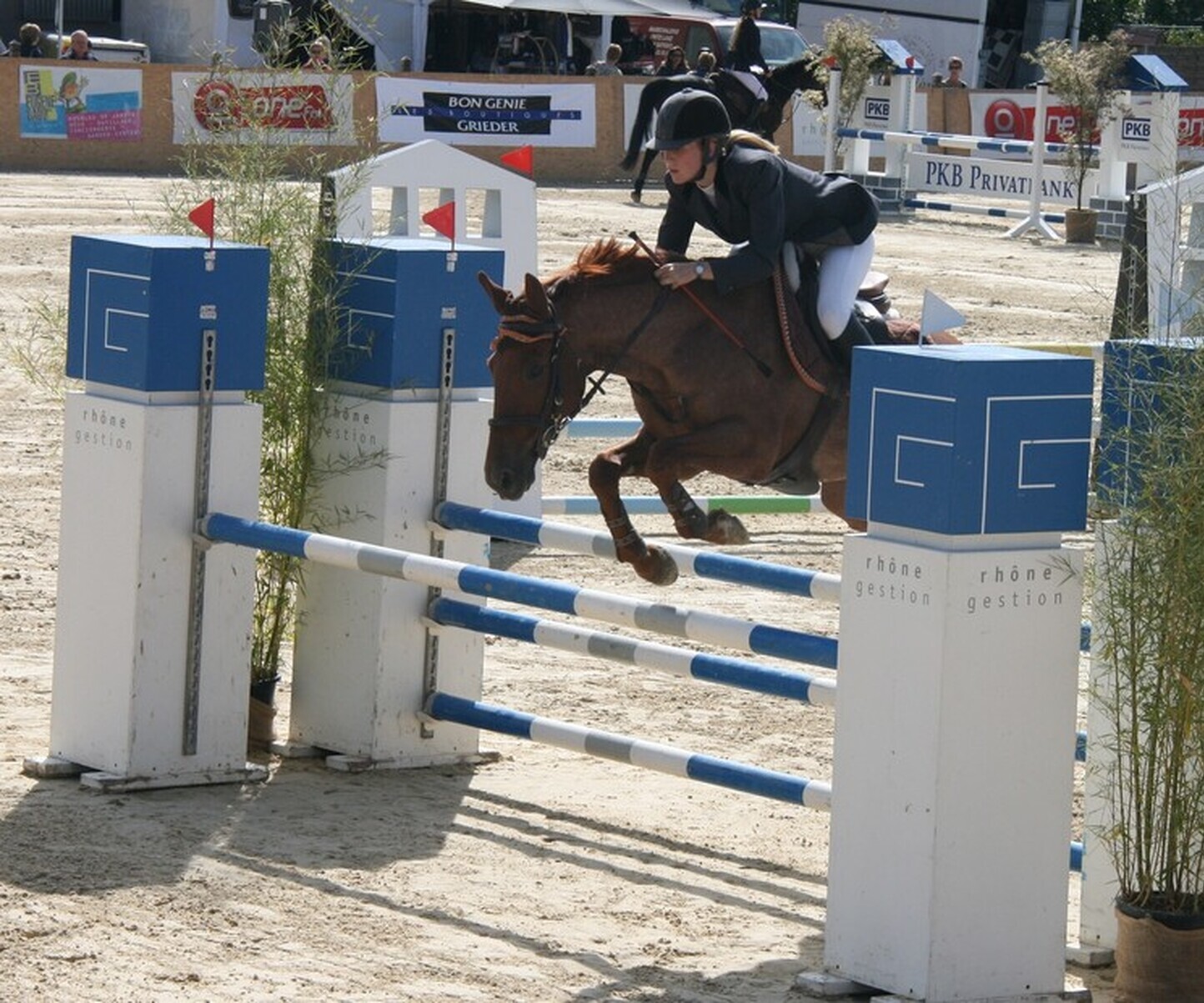 Description de l'image