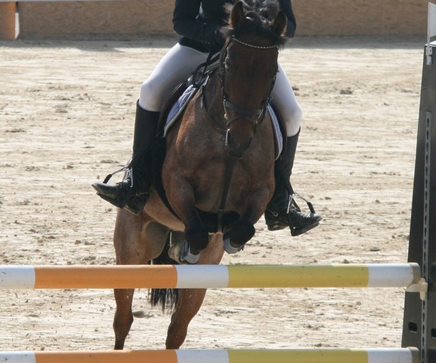 Description de l'image