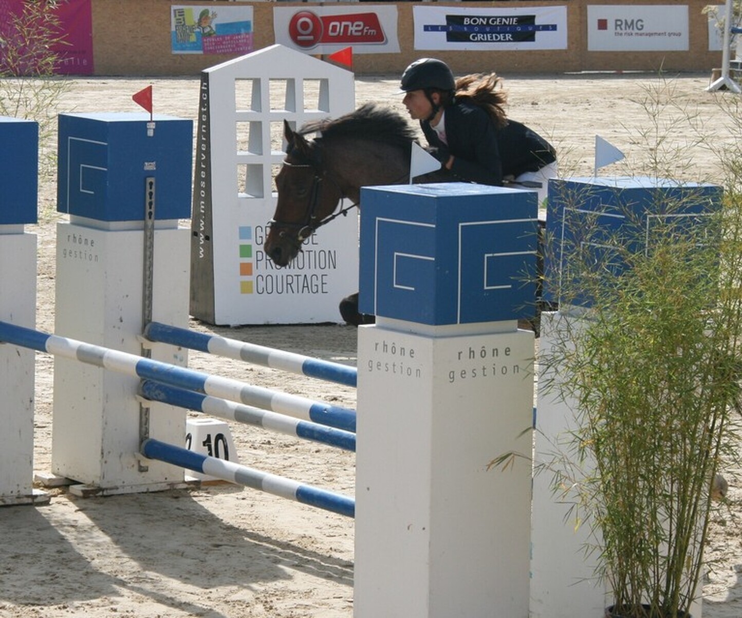 Description de l'image