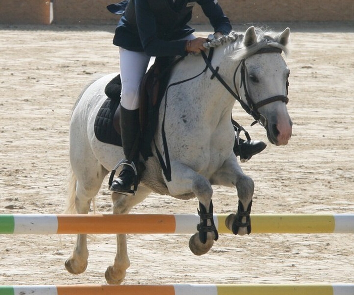 Description de l'image