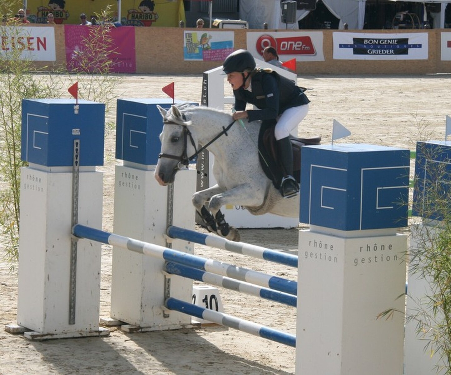 Description de l'image