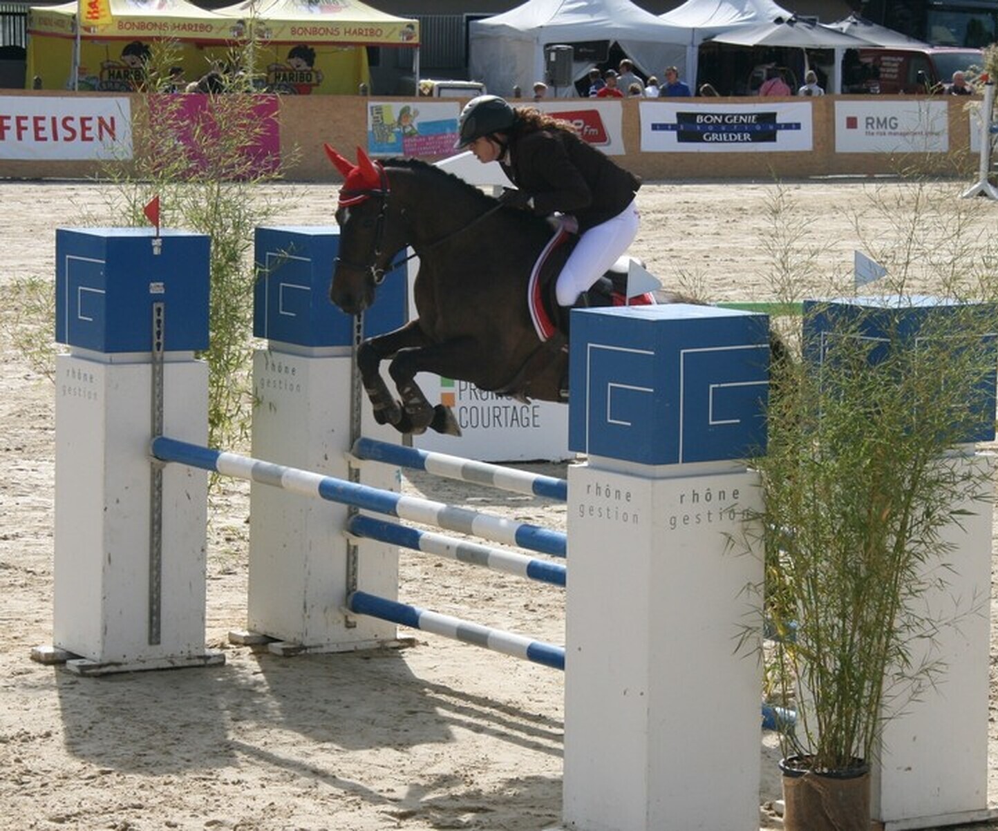 Description de l'image