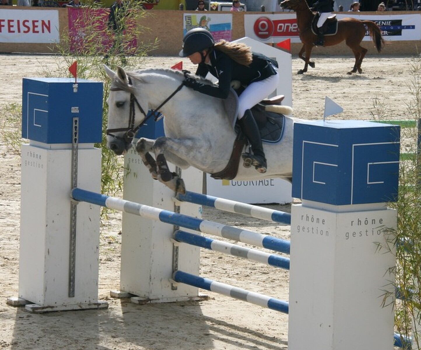 Description de l'image