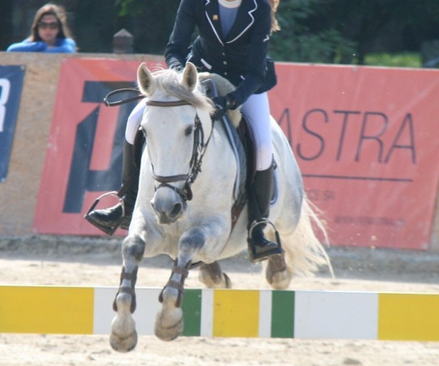 Description de l'image