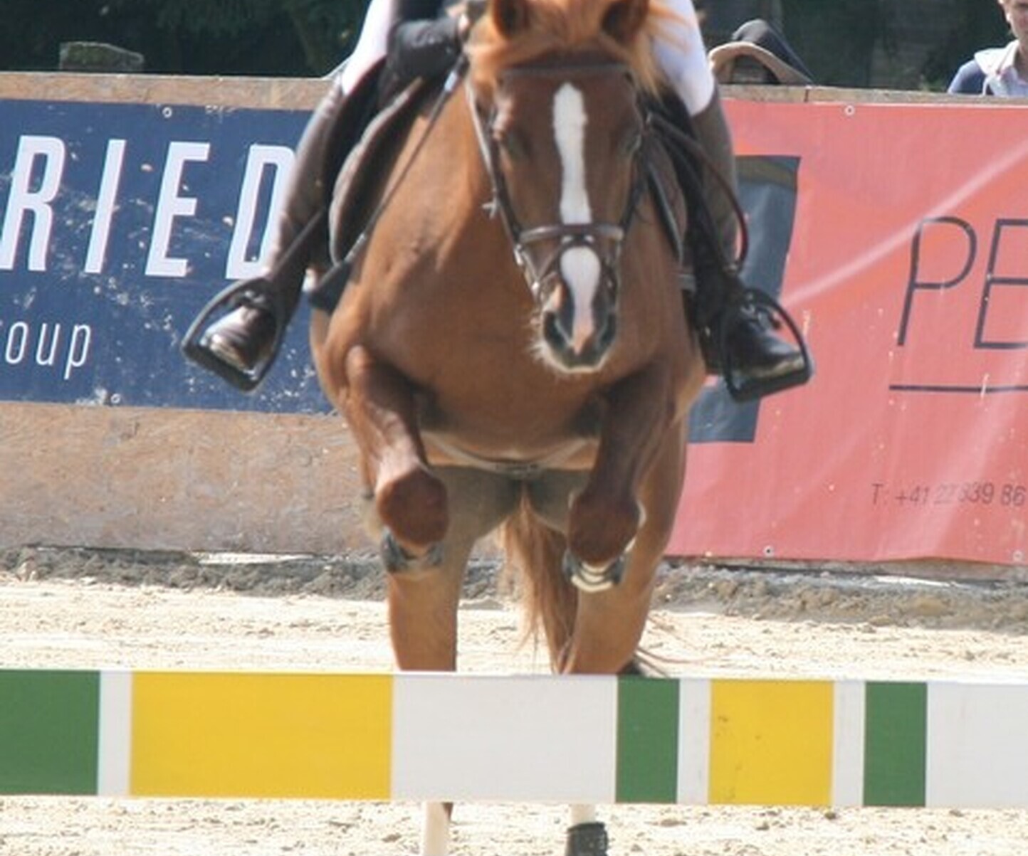 Description de l'image