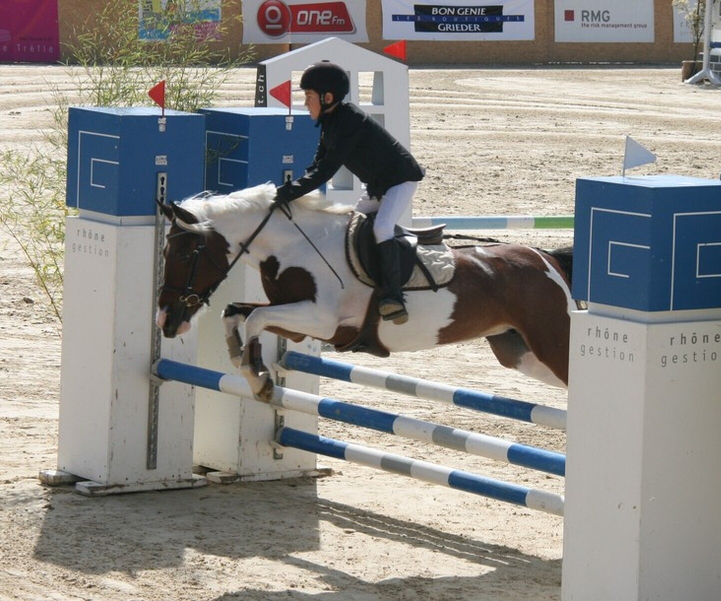 Description de l'image