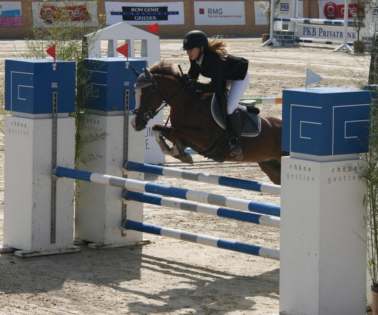 Description de l'image