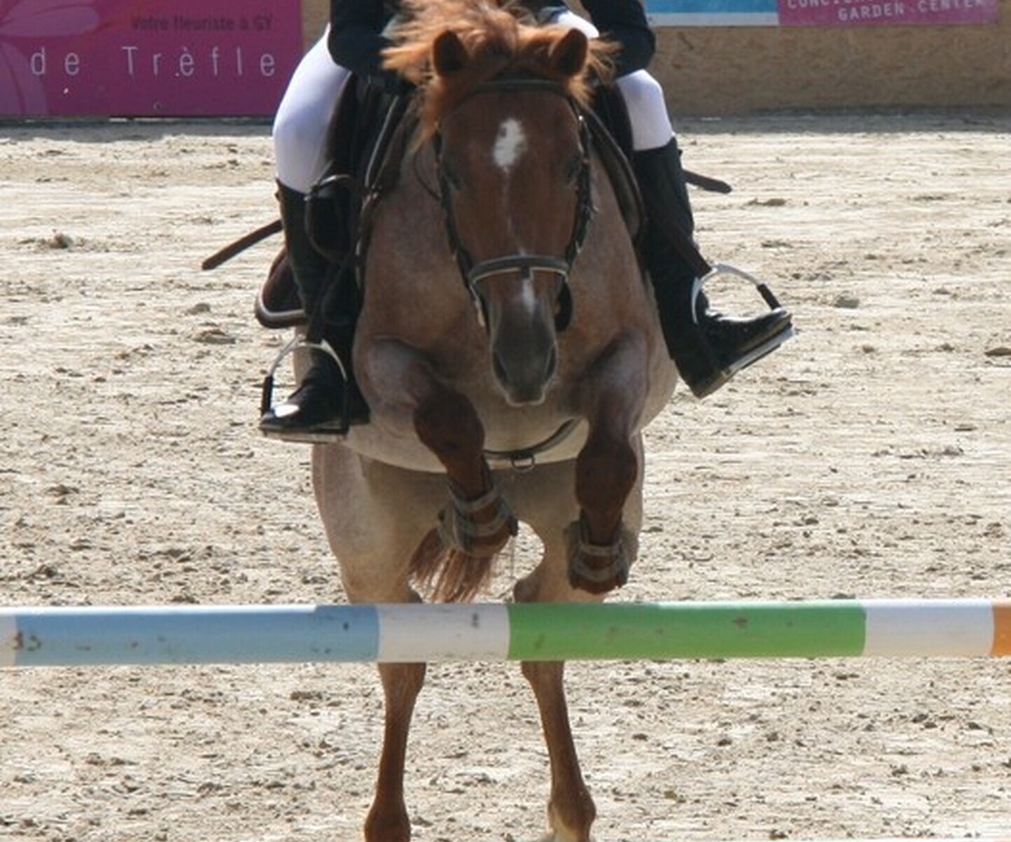 Description de l'image