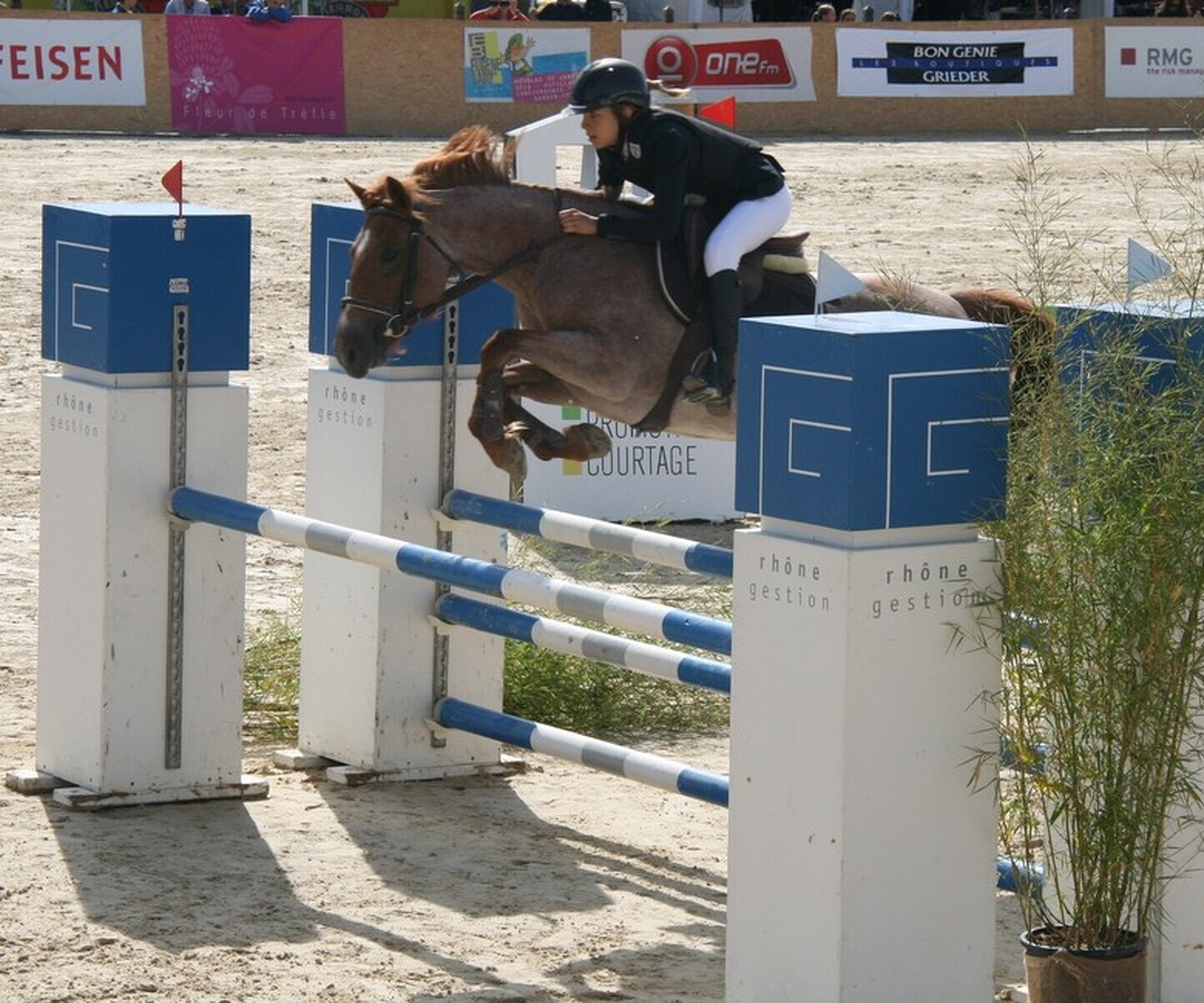 Description de l'image