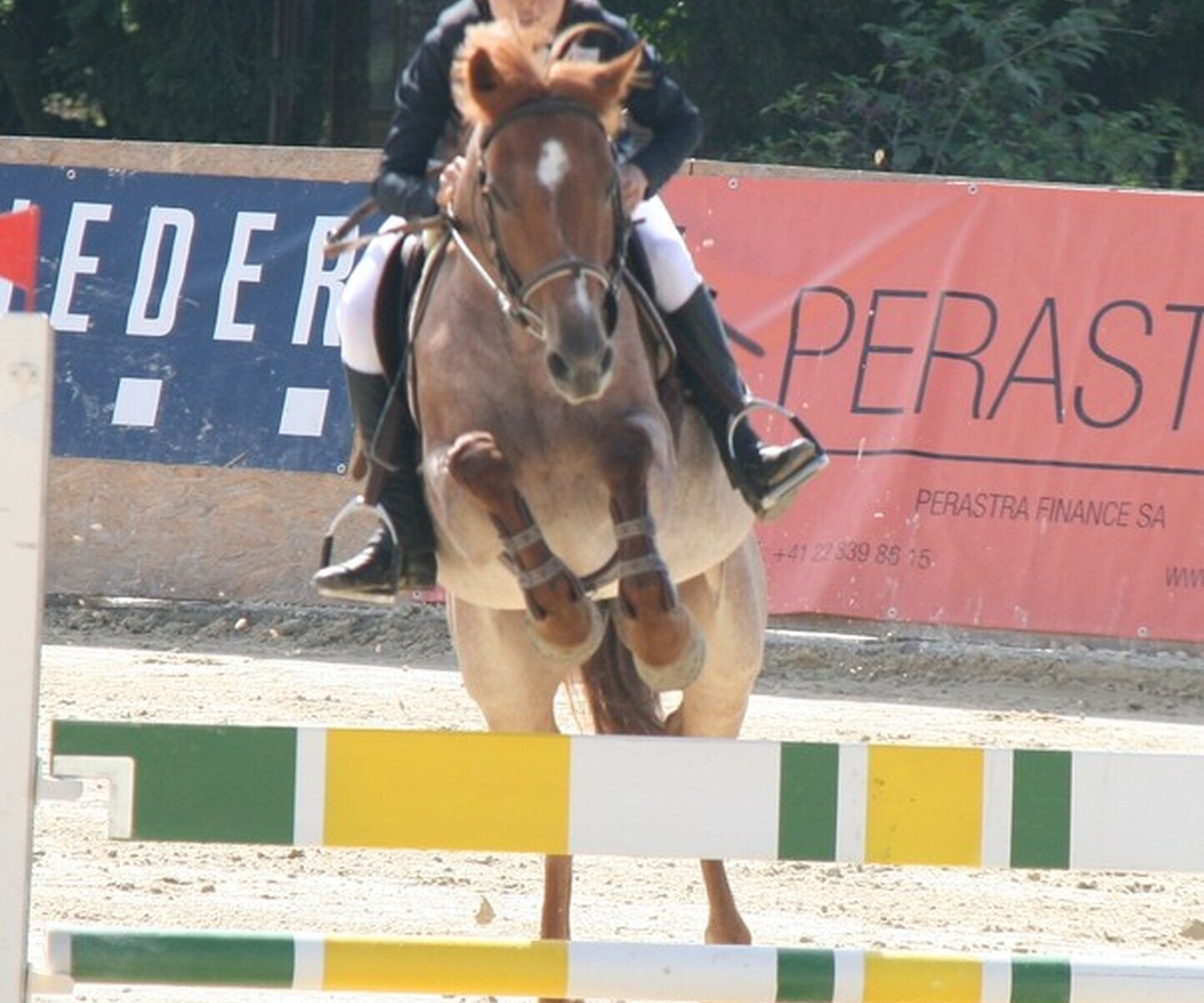 Description de l'image