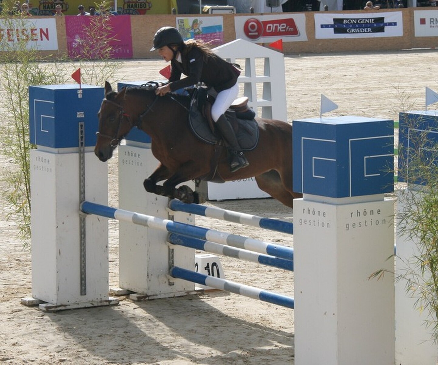 Description de l'image