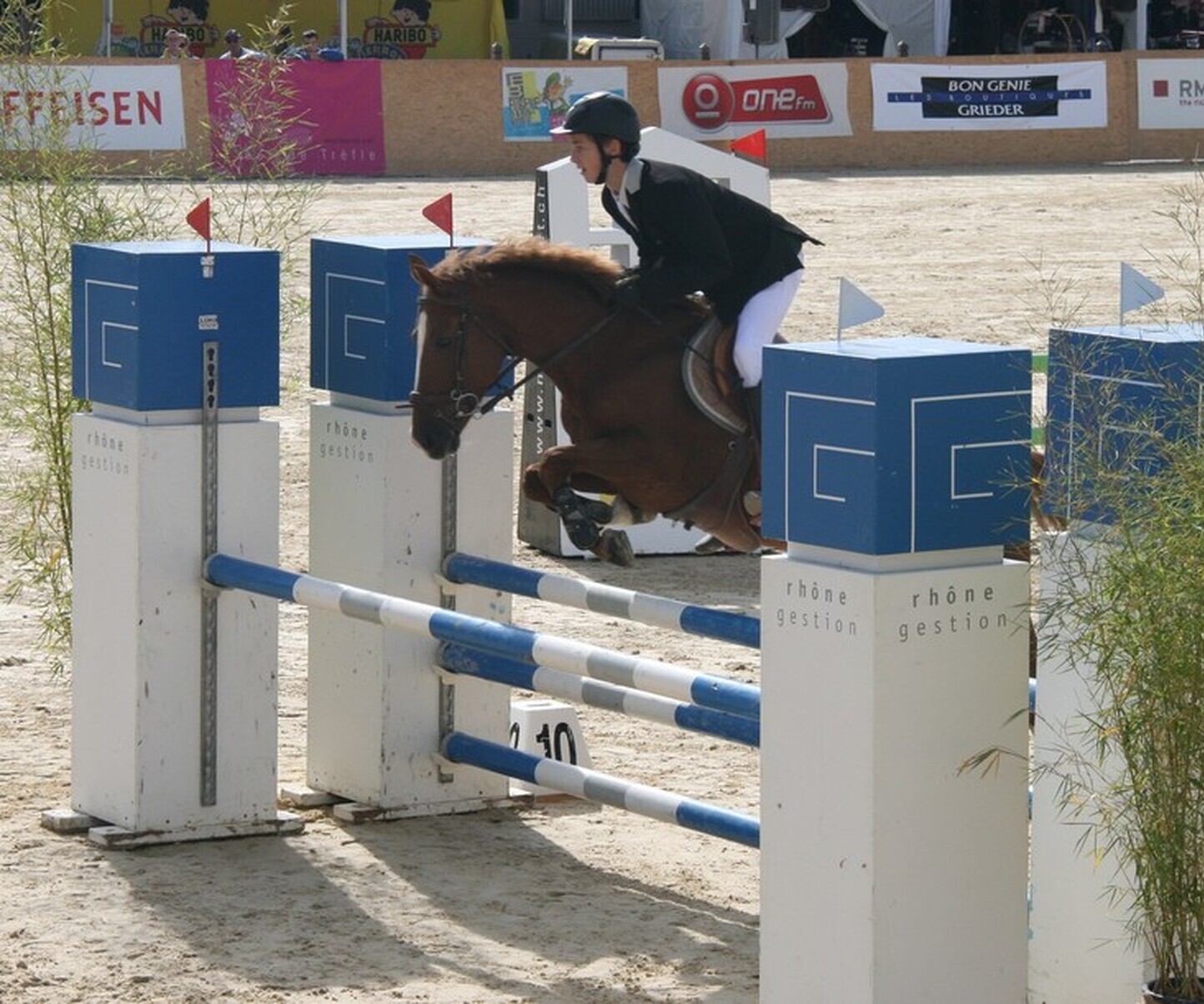 Description de l'image