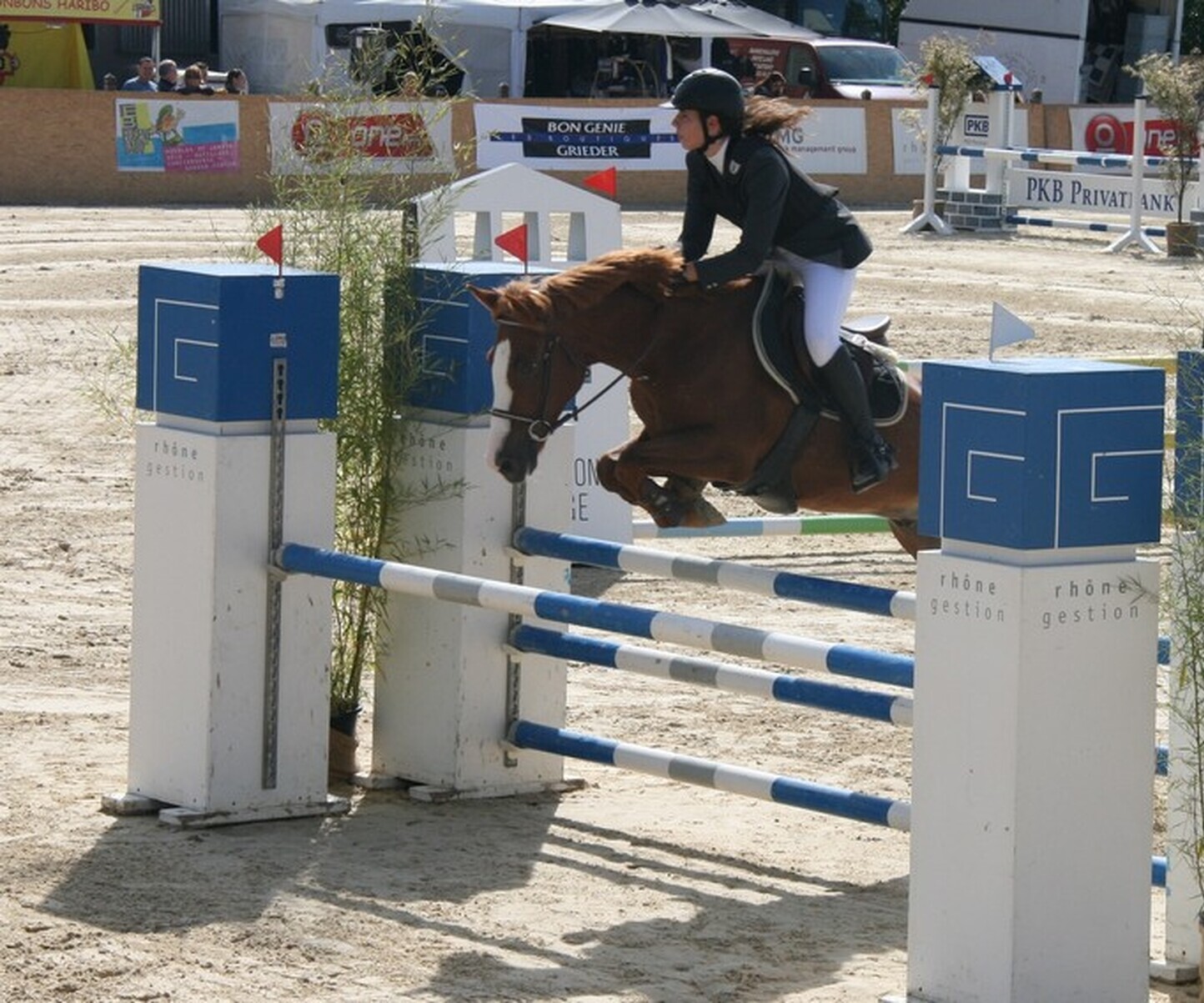 Description de l'image