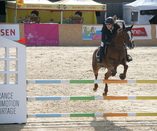 Finale Poneys Jussy 2013