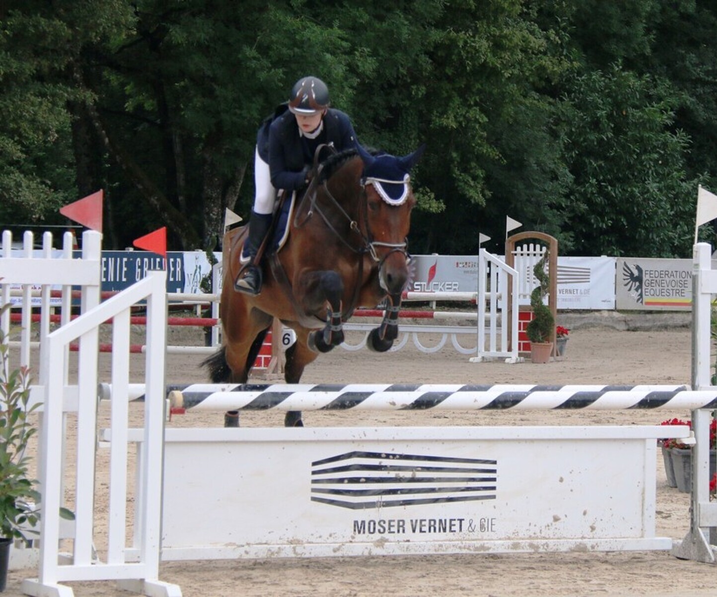 Description de l'image