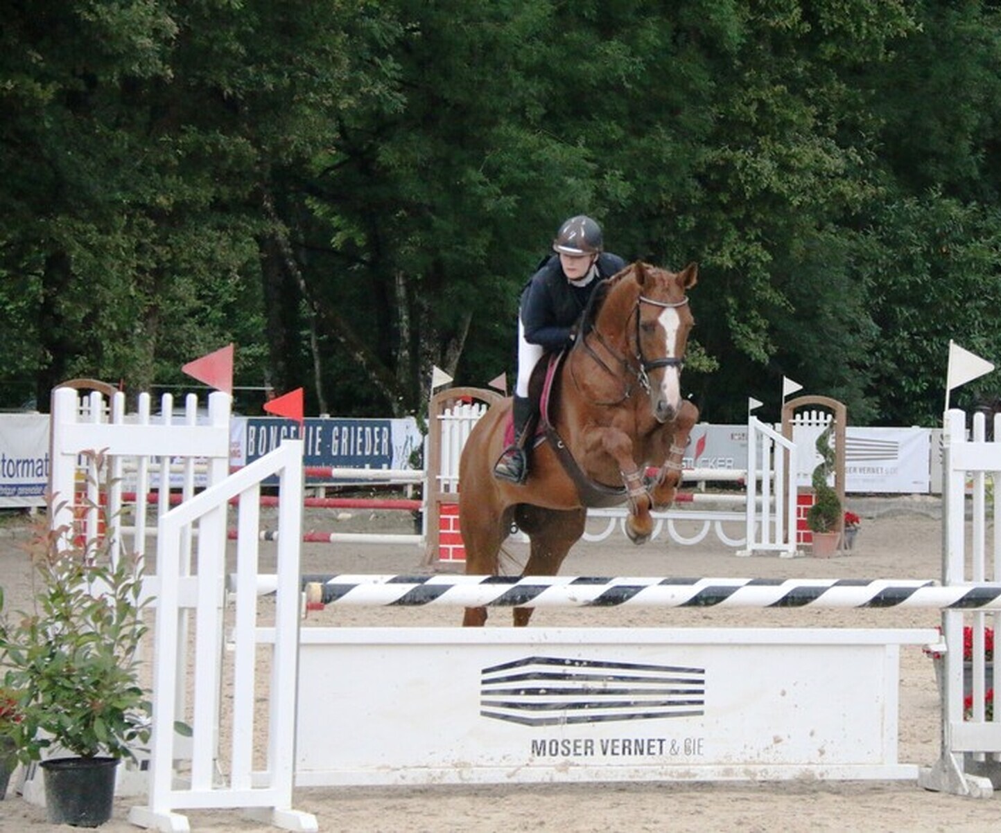 Description de l'image