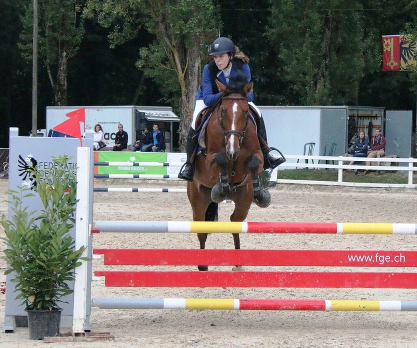 Description de l'image