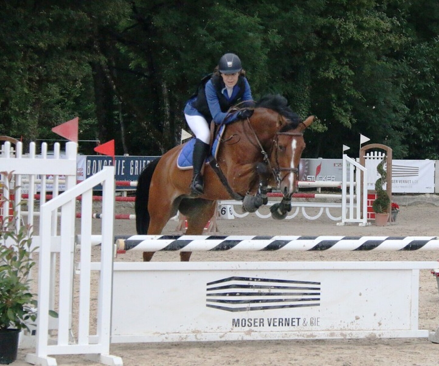 Description de l'image