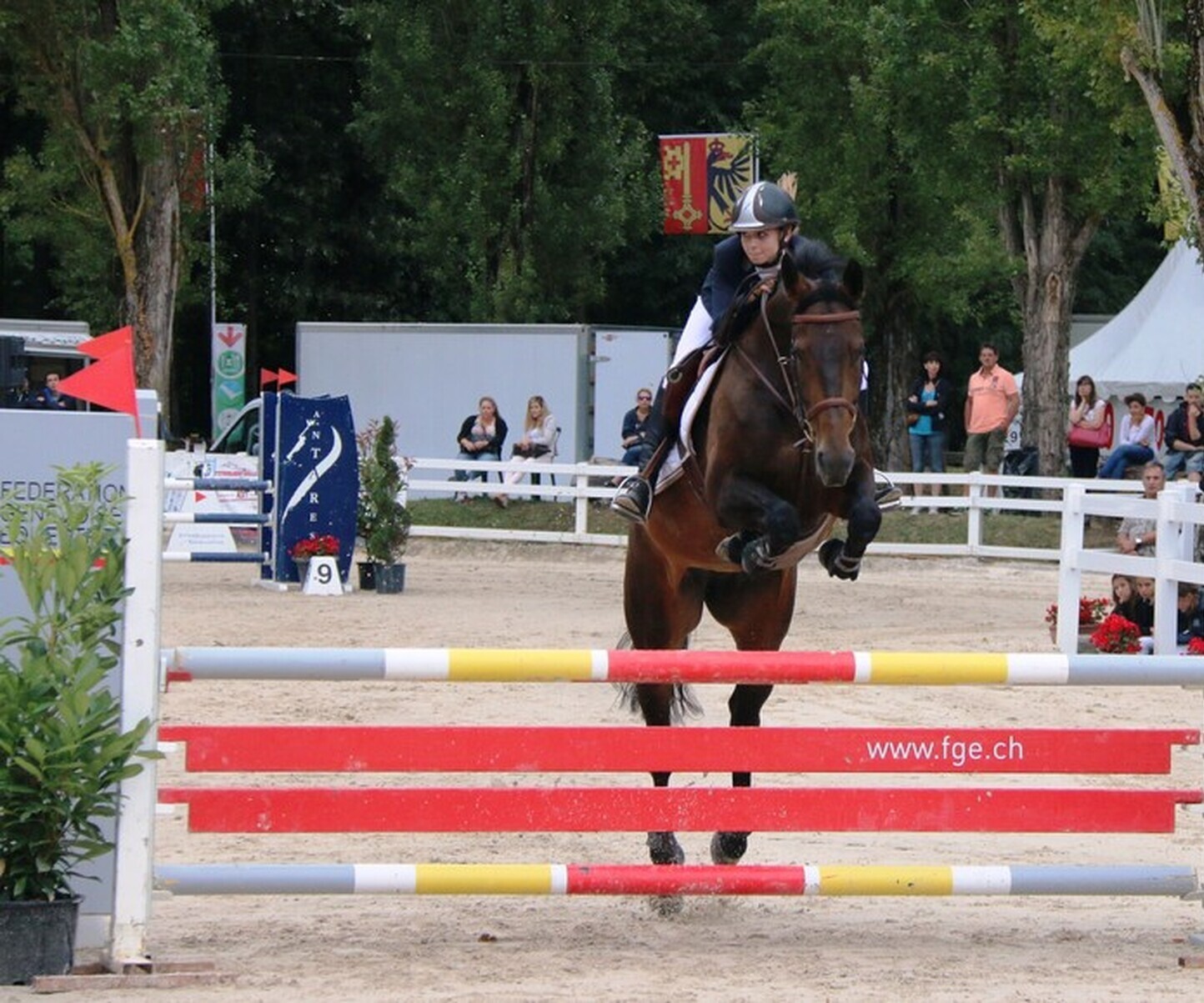 Description de l'image