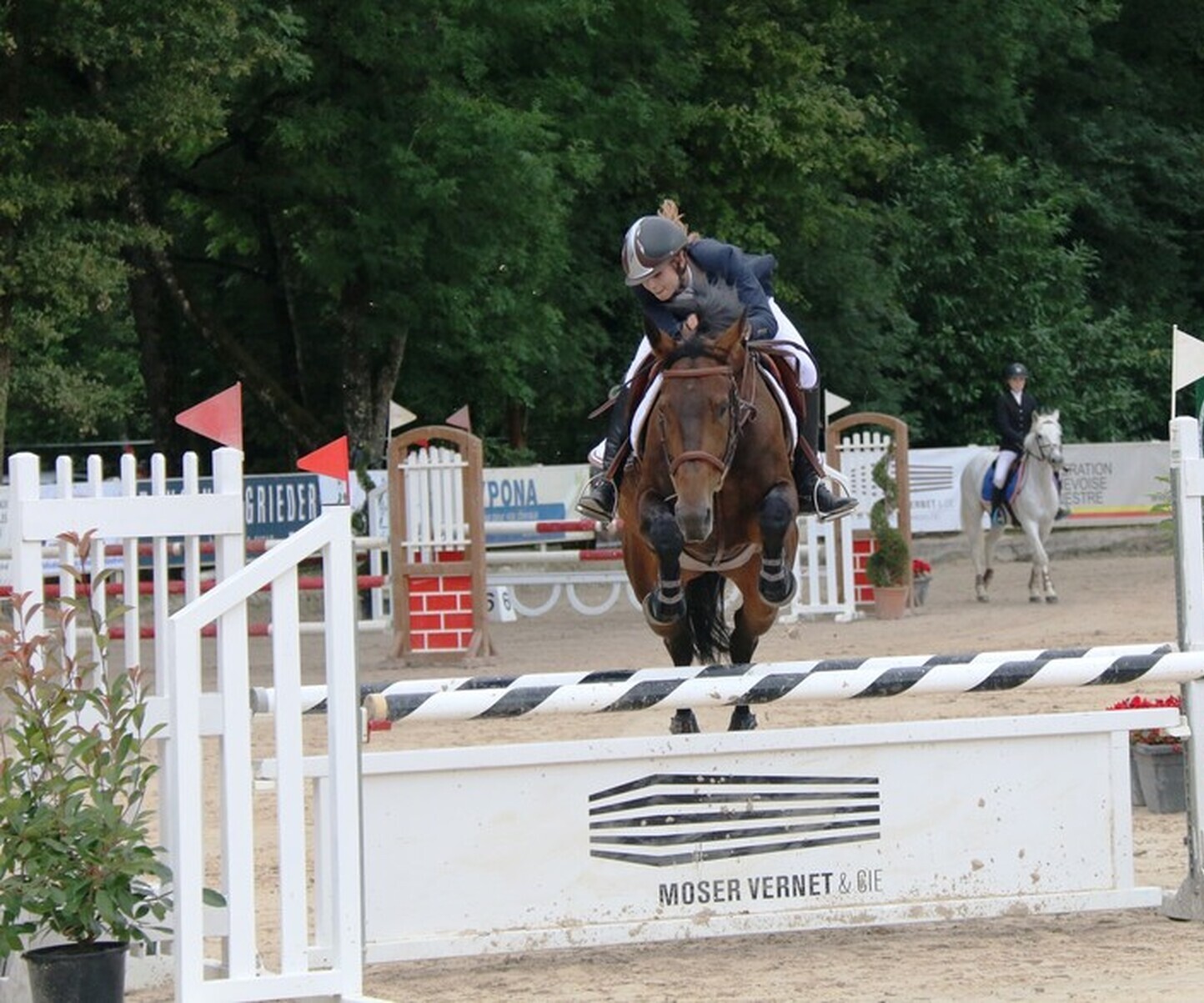 Description de l'image