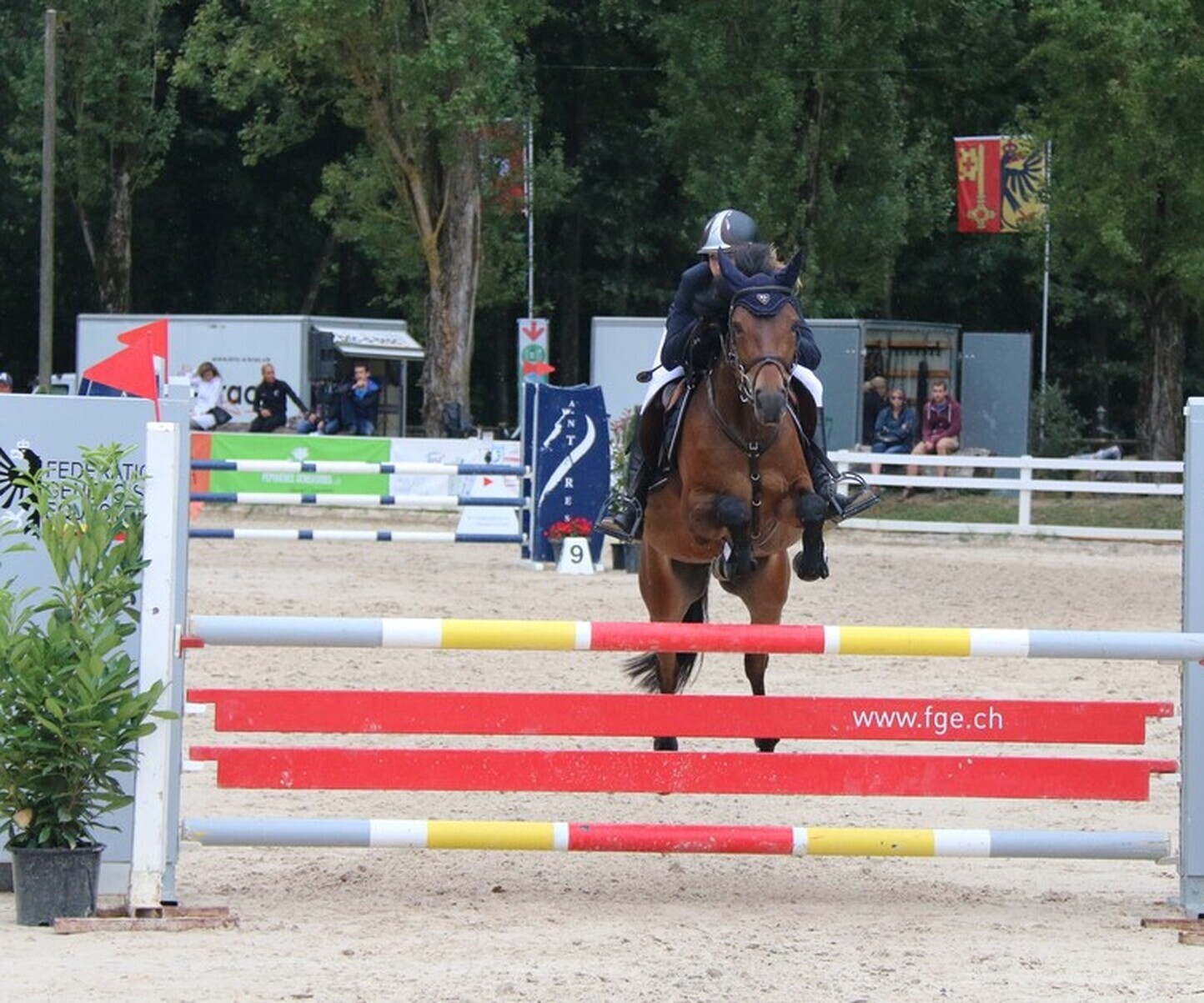 Description de l'image